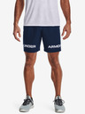 Under Armour Woven Graphic WM Shorts
