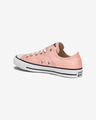 Converse Chuck Taylor All Star OX Sneakers